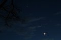 IMG_1568