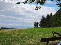IMG 20260718 081611