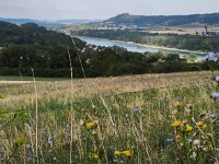 IMG 20260718 082048