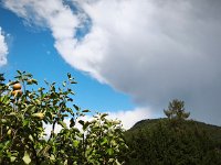 IMG 20260723 145349