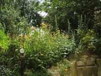 IMG 20260724 115147