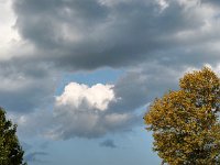 IMG 20260801 182250