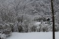 IMG_1407